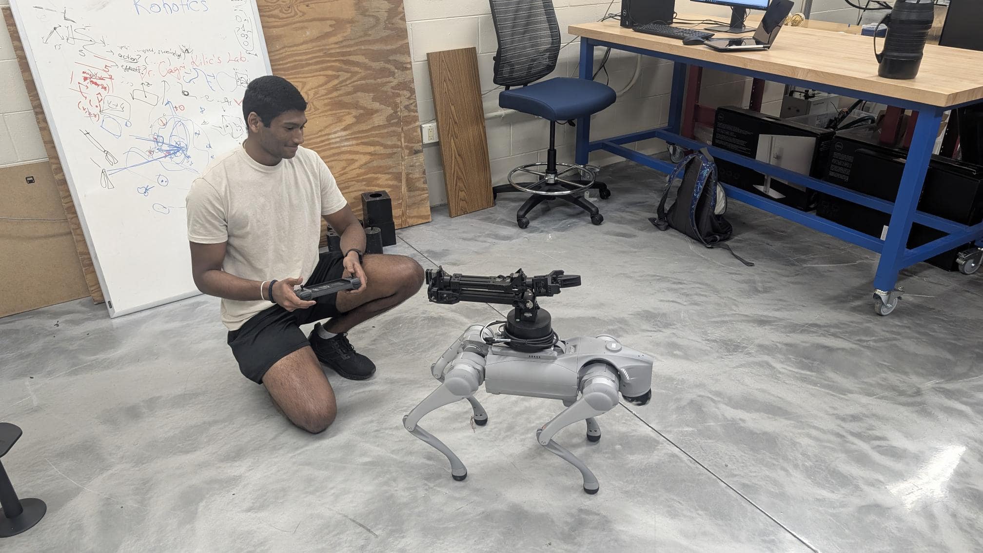 Planetary/Terrestrial Robotics